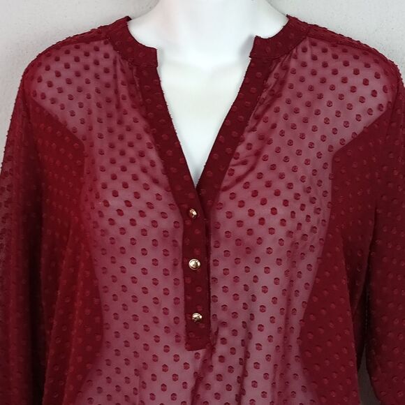 The Limited Women Burgundy Sheer Poka Dot Long Sleeve Top Sz M - Picture 2 of 11